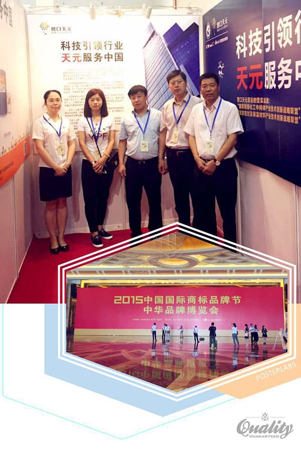 天元受邀參加2015中國國際品牌節(jié)
