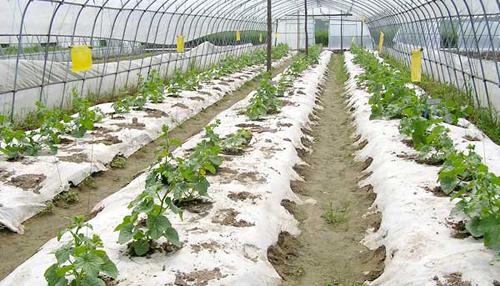 什么是光降解地膜