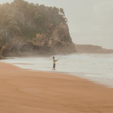 魚百科:釣魚麝香粉的使用方法